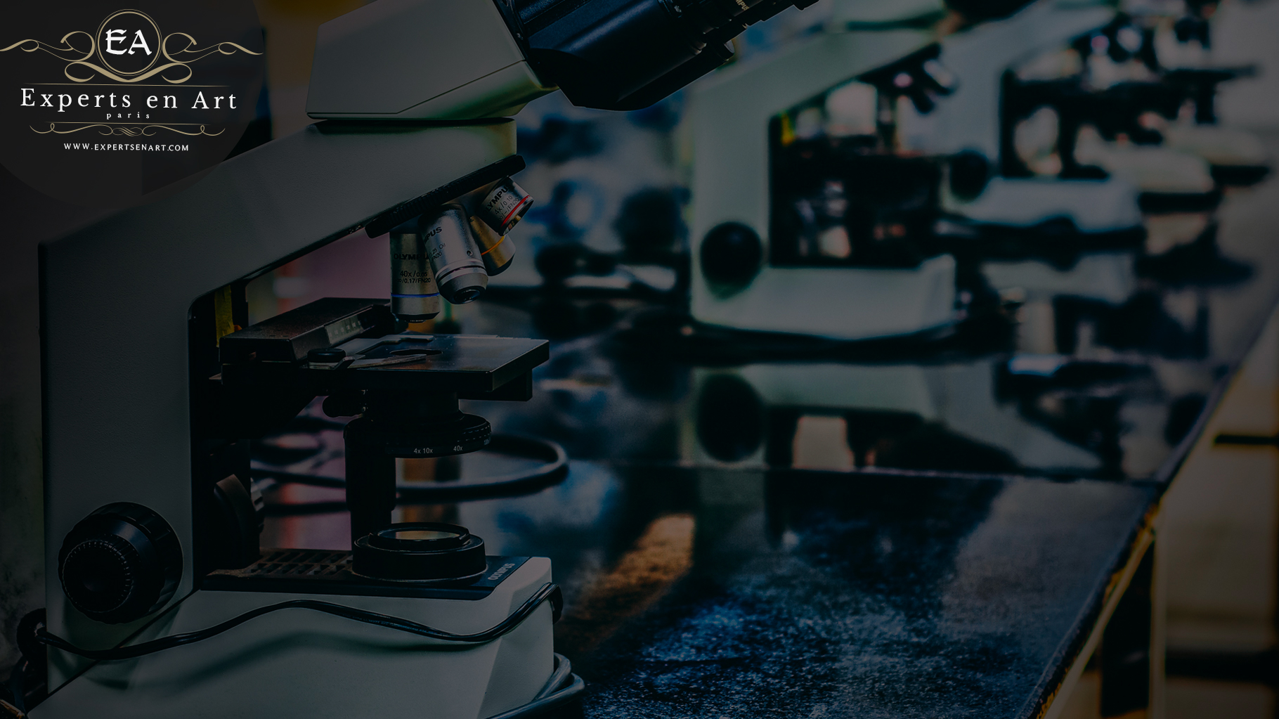 Experts scientifiques