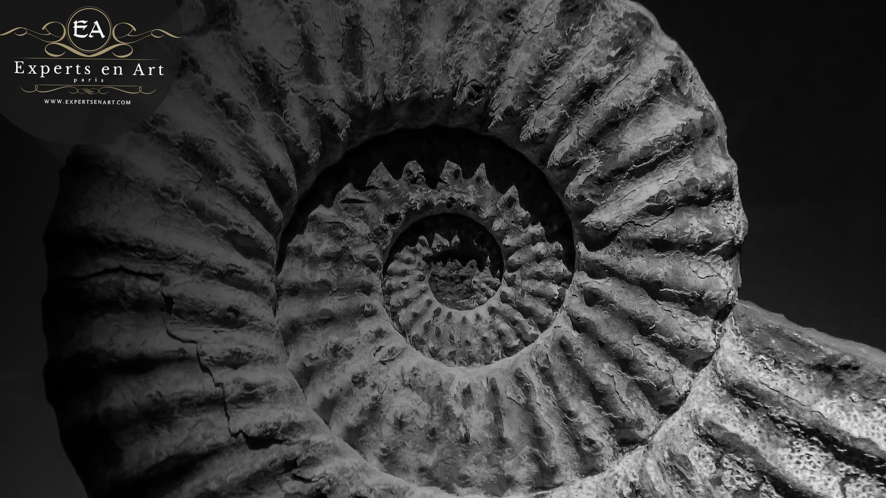 Datation carbone de vos œuvres artistiques